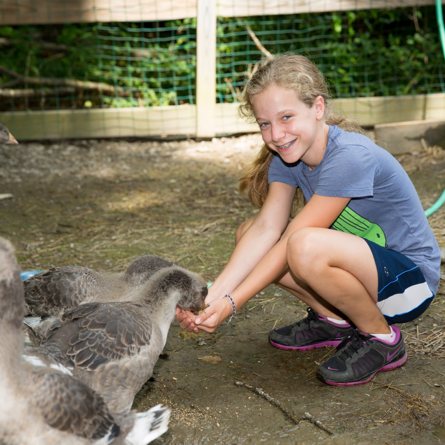 girl-with-ducks