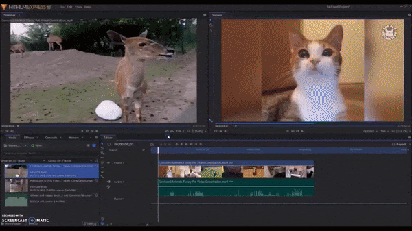 Tv Show Television GIF By Sienkiewicztv