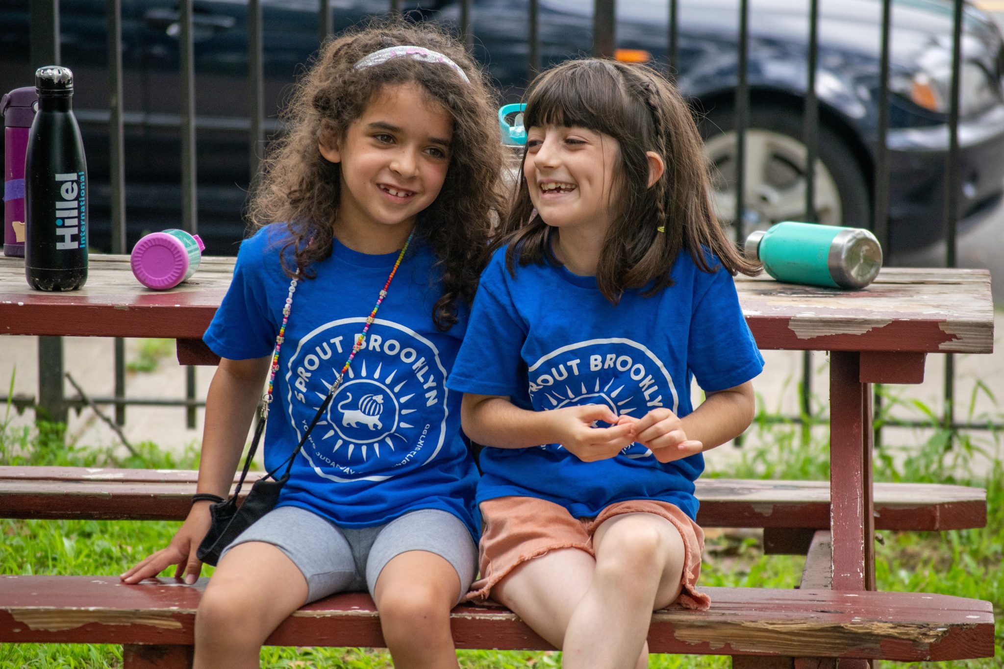Sprout Brooklyn Day Camp Hebrew DualLanguage Camp in Brooklyn